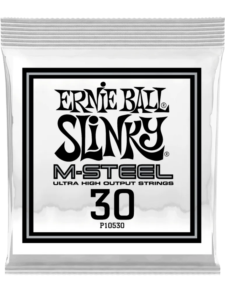 ERNIE BALL 10530 | MusicGoodDeal