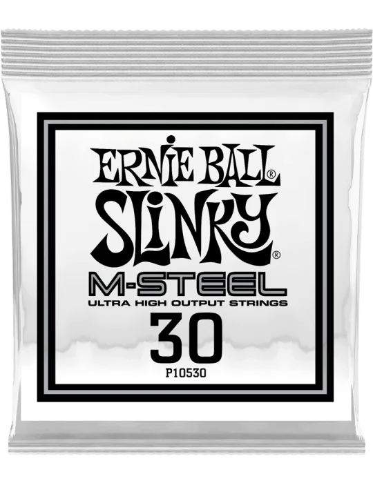 ERNIE BALL 10530 | MusicGoodDeal