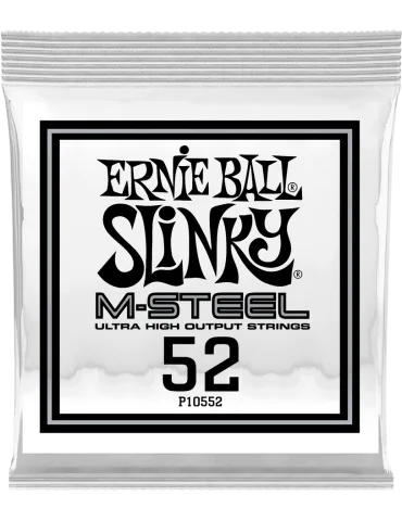 ERNIE BALL 10552 | MusicGoodDeal