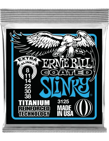 ERNIE BALL 3125 | MusicGoodDeal