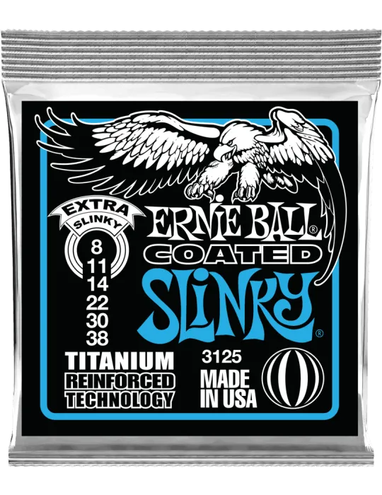 ERNIE BALL 3125 | MusicGoodDeal