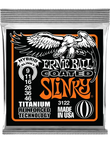 ERNIE BALL 3122 | MusicGoodDeal