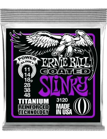 ERNIE BALL 3120 | MusicGoodDeal