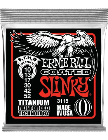 ERNIE BALL 3115 | MusicGoodDeal