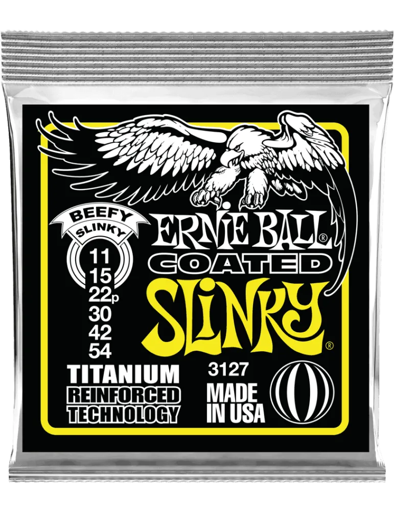 ERNIE BALL 3127 | MusicGoodDeal