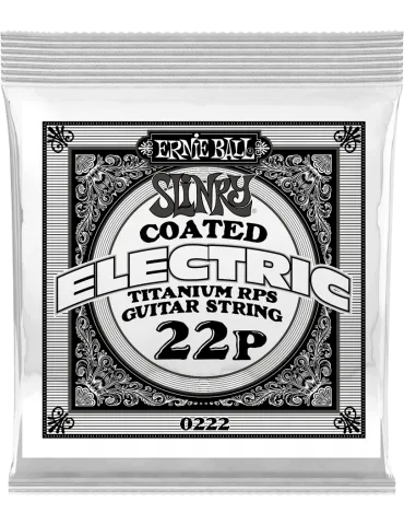 ERNIE BALL 0222