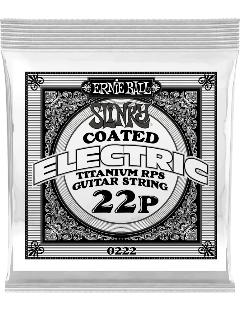 ERNIE BALL 0222 | MusicGoodDeal