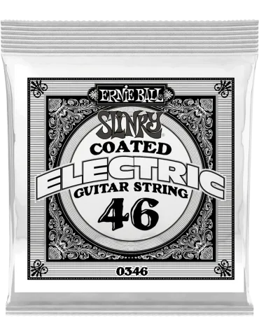 ERNIE BALL 0346 | MusicGoodDeal