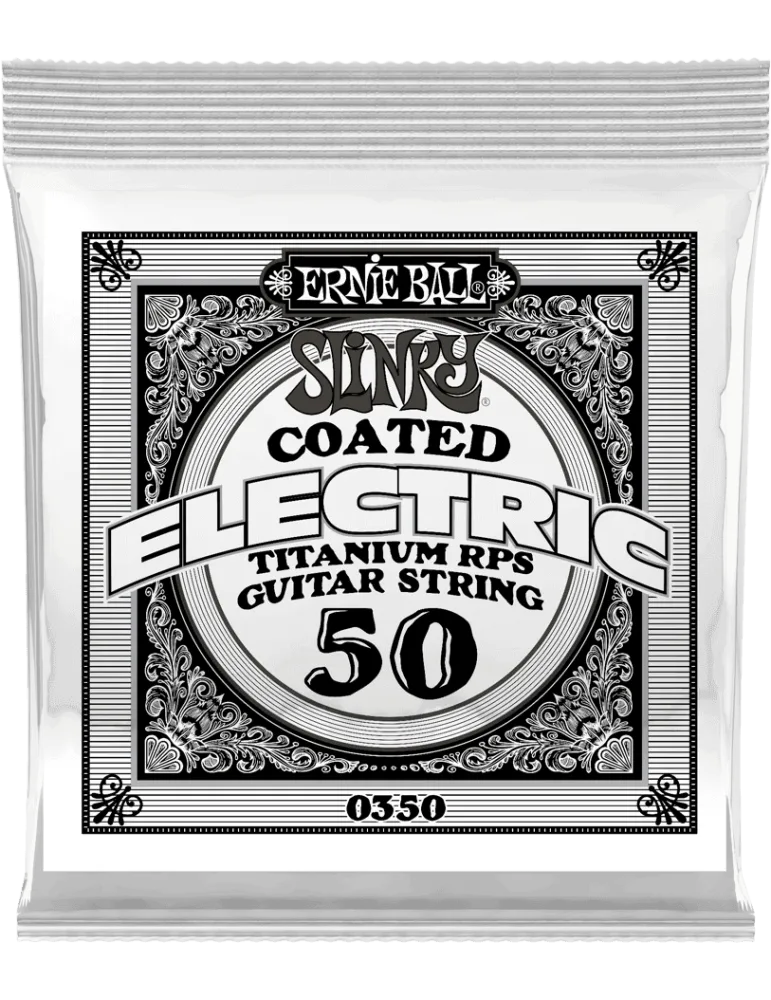 ERNIE BALL 0350 | MusicGoodDeal