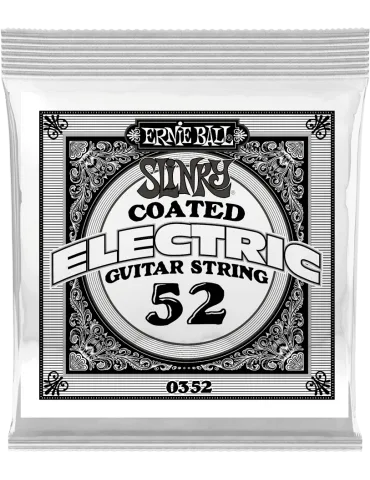 ERNIE BALL 0352 | MusicGoodDeal
