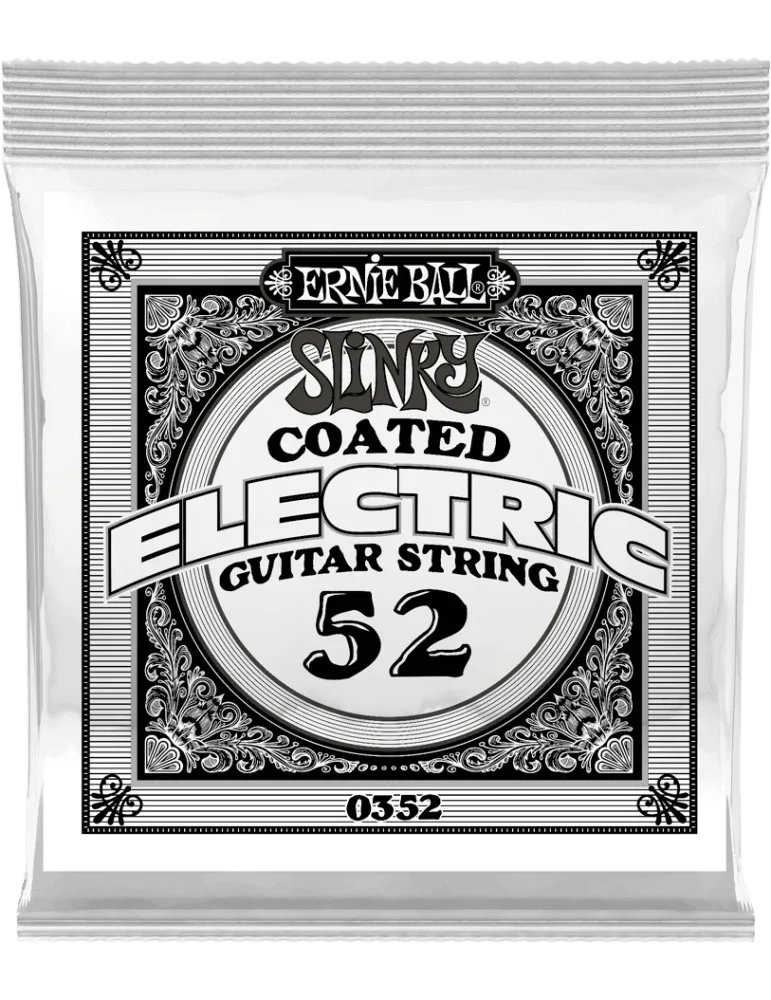 ERNIE BALL 0352 | MusicGoodDeal