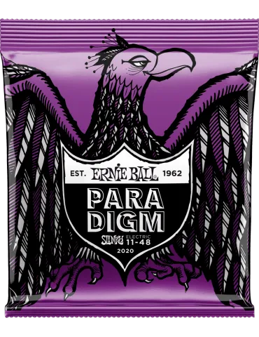 ERNIE BALL 2020