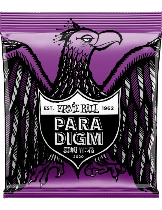 ERNIE BALL 2020 | MusicGoodDeal
