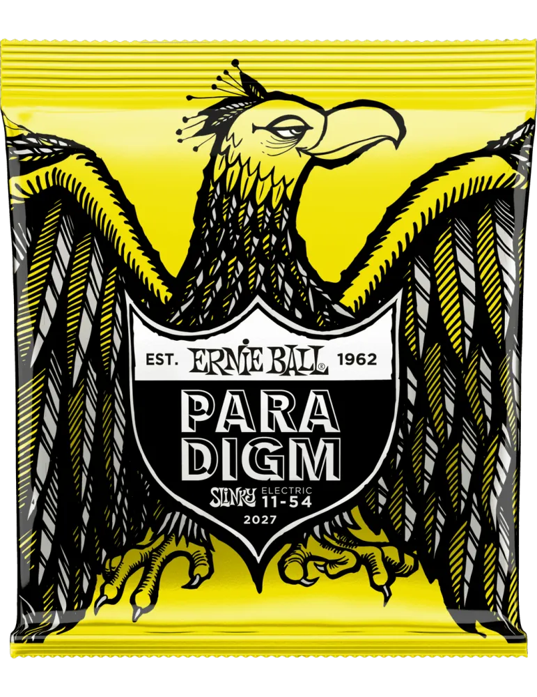 ERNIE BALL 2027 | MusicGoodDeal