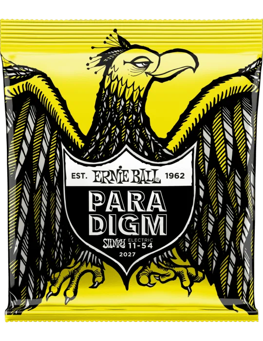 ERNIE BALL 2027 | MusicGoodDeal