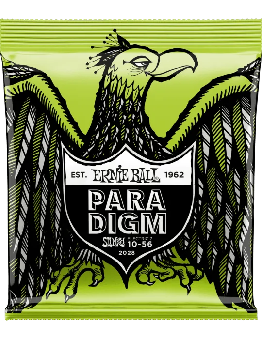 ERNIE BALL 2028 | MusicGoodDeal
