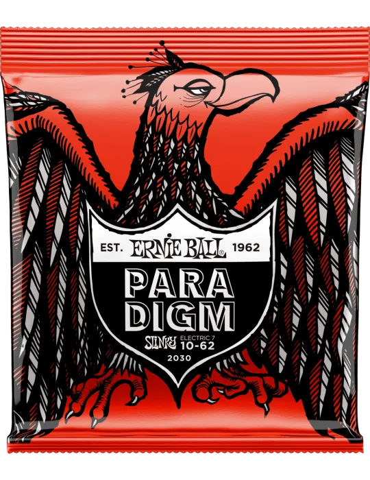 ERNIE BALL 2030 | MusicGoodDeal