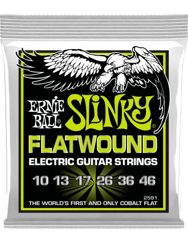 ERNIE BALL 2591 | MusicGoodDeal