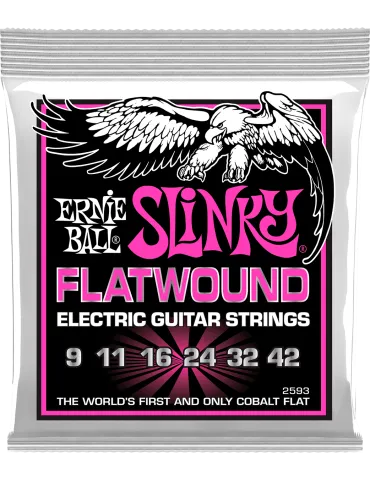 ERNIE BALL 2593 | MusicGoodDeal