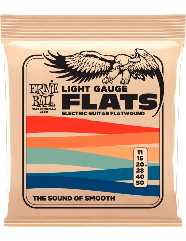 ERNIE BALL 2580 | MusicGoodDeal