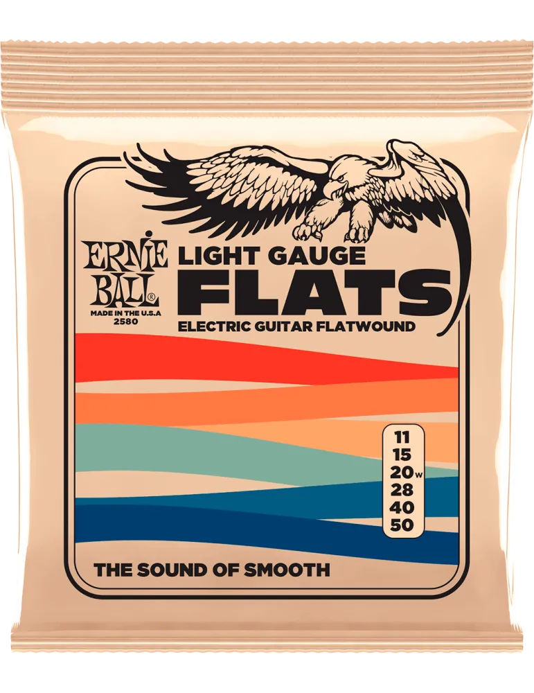 ERNIE BALL 2580 | MusicGoodDeal