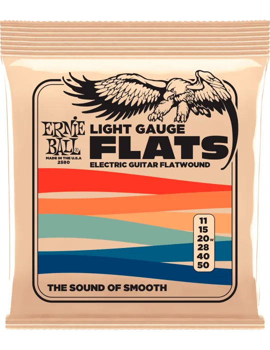 ERNIE BALL 2580 | MusicGoodDeal