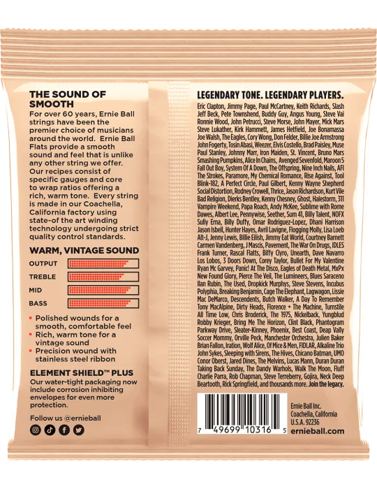 ERNIE BALL 2580 | MusicGoodDeal