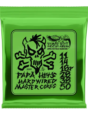 ERNIE BALL 2201 | MusicGoodDeal