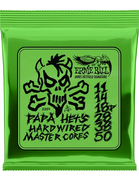 ERNIE BALL 2201 | MusicGoodDeal