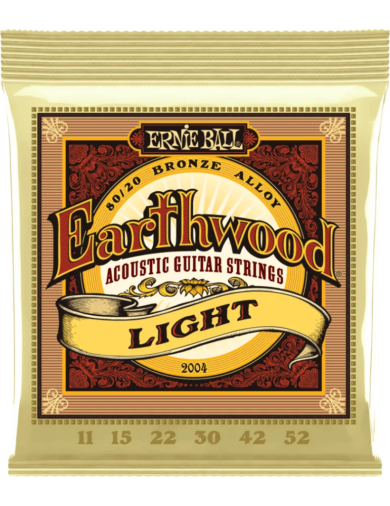 ERNIE BALL 2004 | MusicGoodDeal