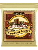 ERNIE BALL 2007 | MusicGoodDeal