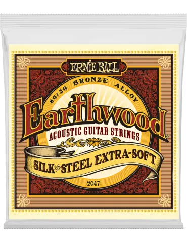 ERNIE BALL 2047 | MusicGoodDeal