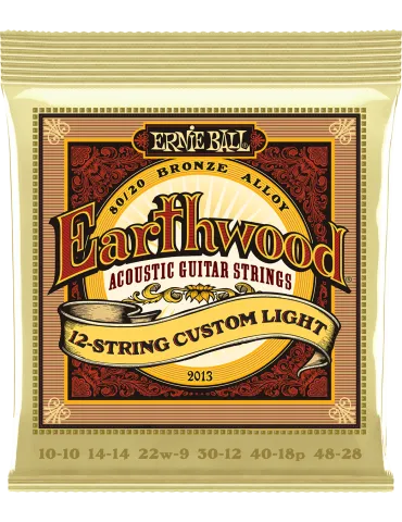 ERNIE BALL 2013 | MusicGoodDeal