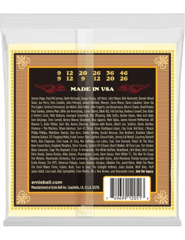 ERNIE BALL 2051 | MusicGoodDeal 2