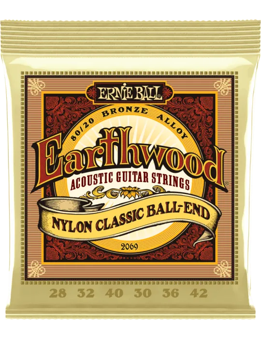 ERNIE BALL 2069 | MusicGoodDeal