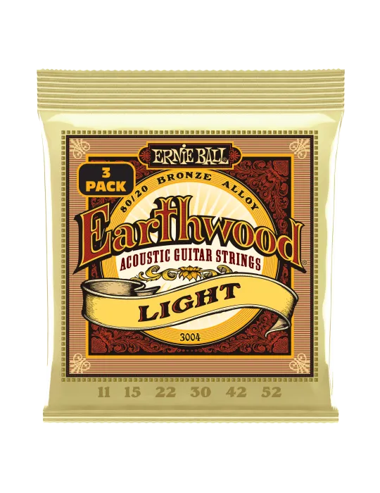 ERNIE BALL 3004 | MusicGoodDeal