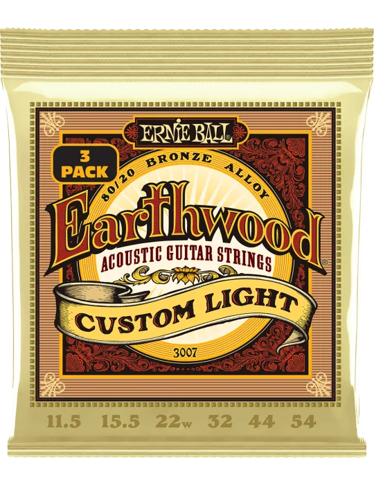 ERNIE BALL 3007 | MusicGoodDeal