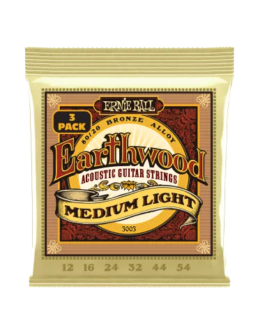 ERNIE BALL 3003 | MusicGoodDeal