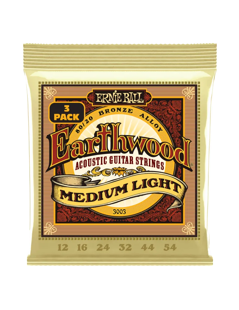 ERNIE BALL 3003 | MusicGoodDeal