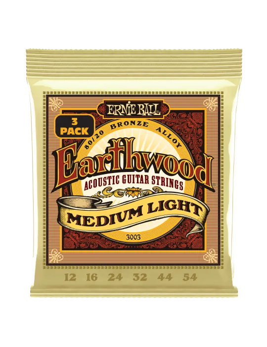 ERNIE BALL 3003 | MusicGoodDeal