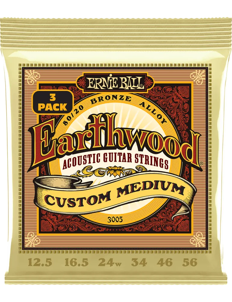 ERNIE BALL 3005 | MusicGoodDeal