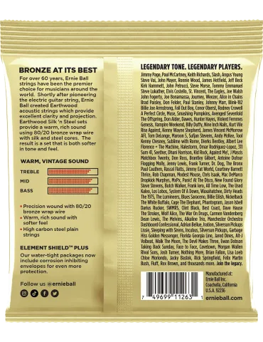 ERNIE BALL 3047 | MusicGoodDeal 2