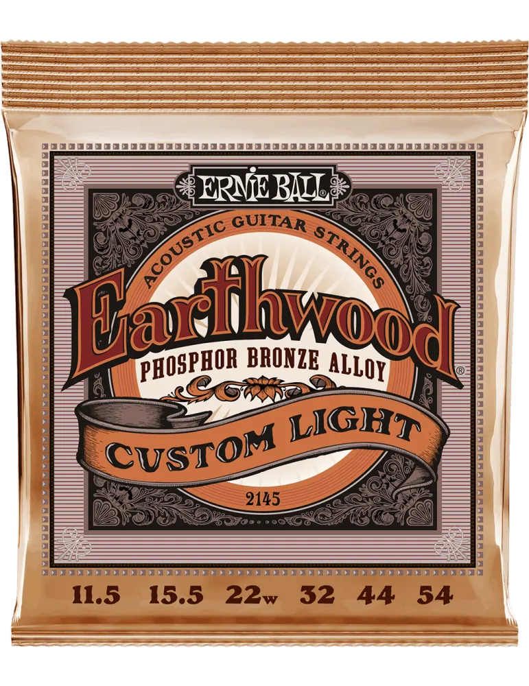 ERNIE BALL 2145 | MusicGoodDeal