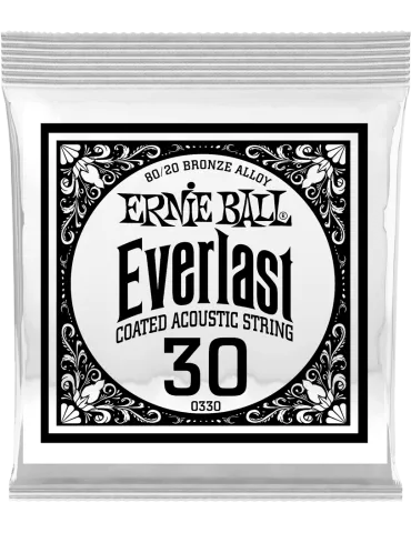 ERNIE BALL 10330