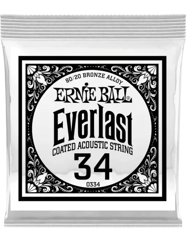 ERNIE BALL 10334 | MusicGoodDeal