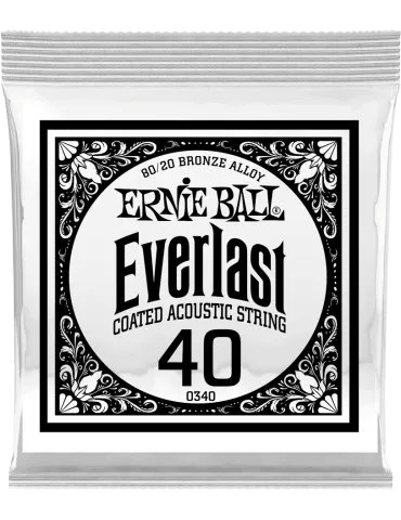 ERNIE BALL 10340 | MusicGoodDeal