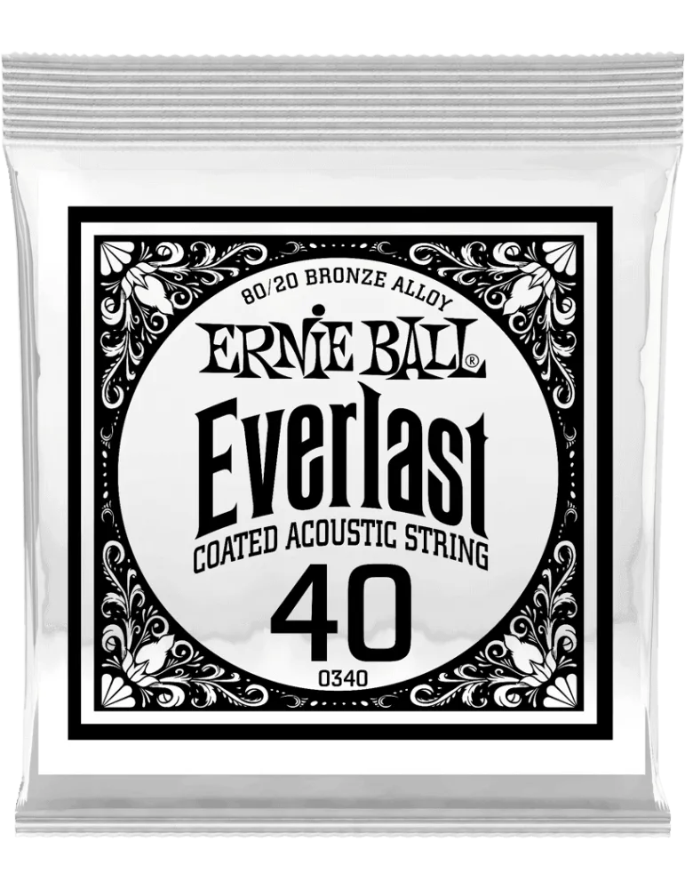 ERNIE BALL 10340 | MusicGoodDeal
