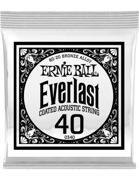 ERNIE BALL 10340 | MusicGoodDeal