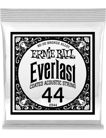 ERNIE BALL 10344 | MusicGoodDeal