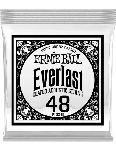 ERNIE BALL 10348 | MusicGoodDeal